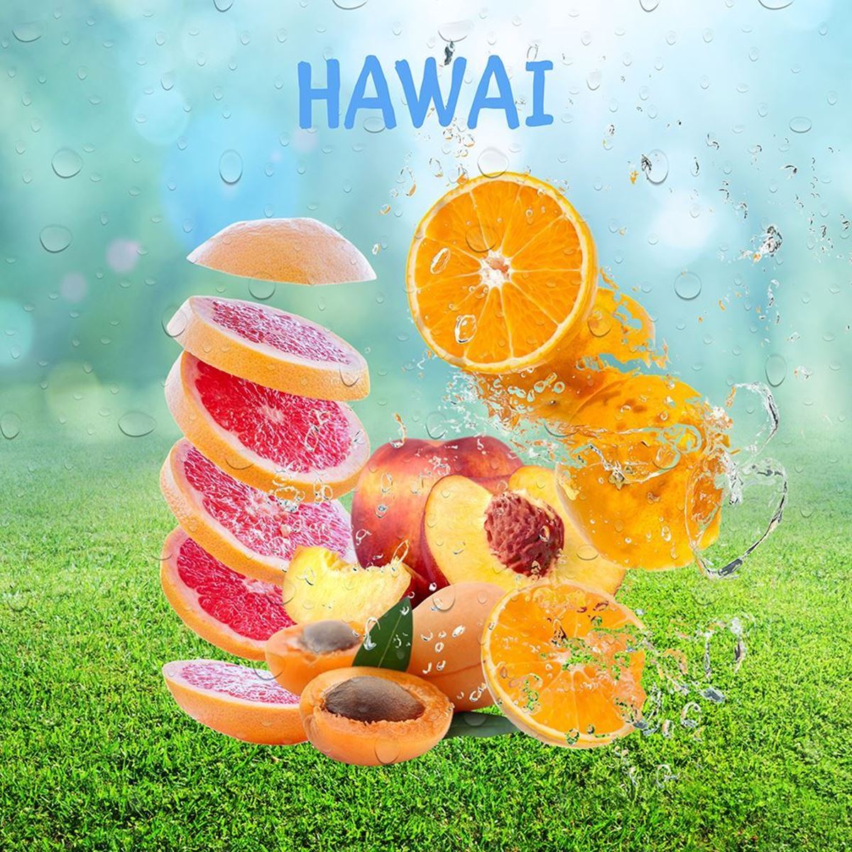 HAWAI resmi
