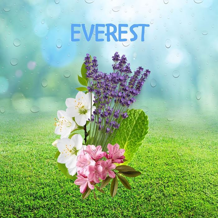EVEREST resmi
