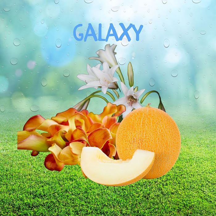 GALAXY resmi